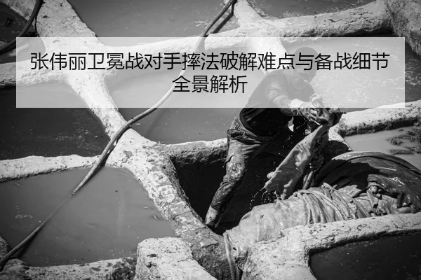 张伟丽卫冕战对手摔法破解难点与备战细节全景解析