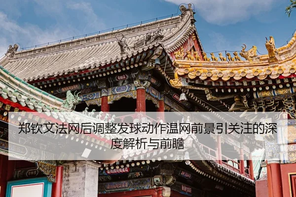 郑钦文法网后调整发球动作温网前景引关注的深度解析与前瞻