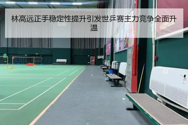 林高远正手稳定性提升引发世乒赛主力竞争全面升温